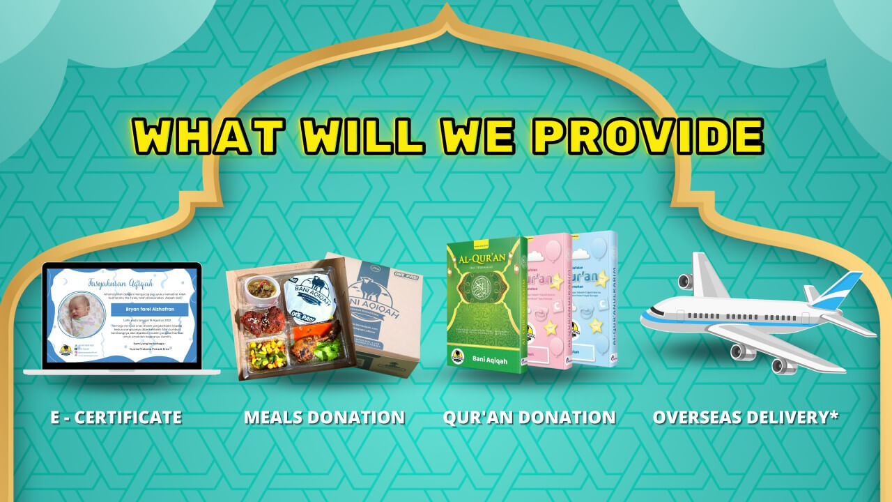 What Will We Provide